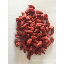 Baya de Goji secada de alta calidad de Ningxia con muestra gratis